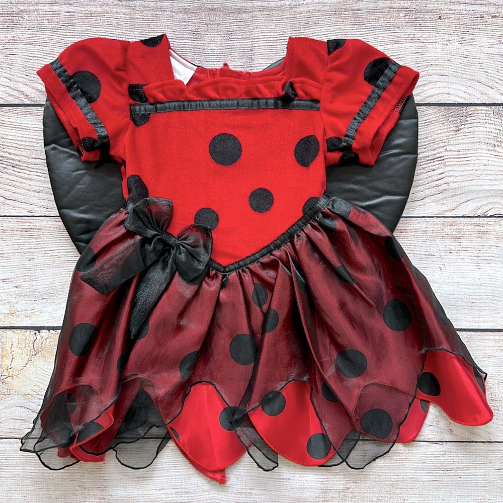 Little Ladybug Dress/Costume